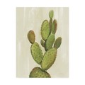 Trademark Fine Art Silvia Vassileva 'Front Yard Cactus I' Canvas Art, 18x24 WAP10434-C1824GG